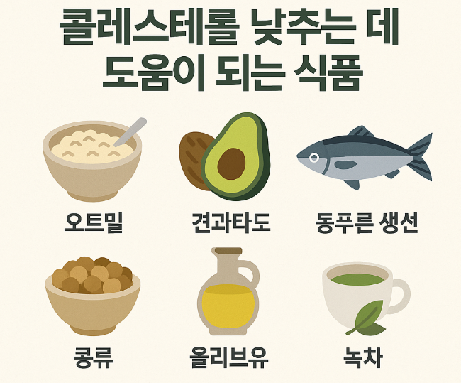콜레스테롤 낮추는데 도움이 되는 식품