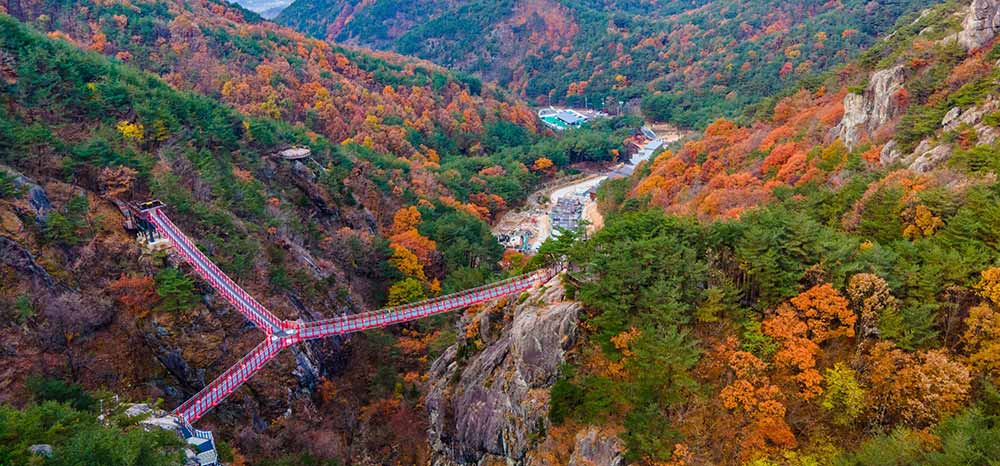 부산 자연휴양림