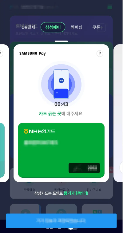 삼성페이-결제화면