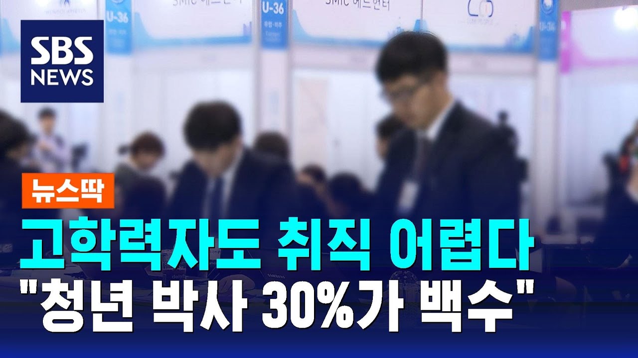 2. [2025 청년 일자리] 현실과 생존 전략 (경력직, 박사백수, 쉬는청년)
