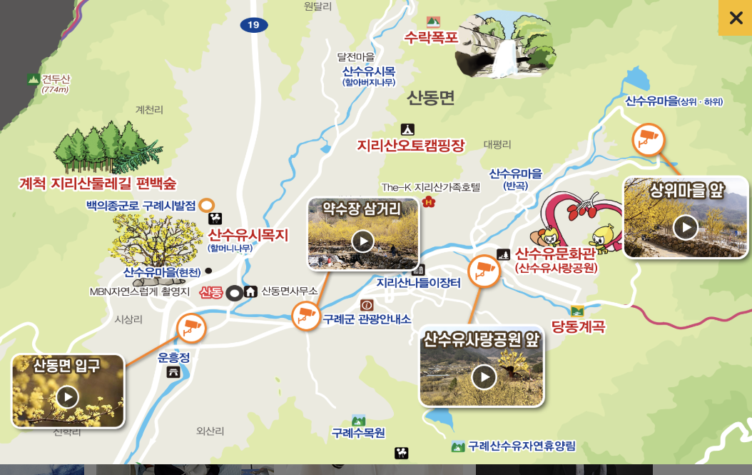 산수유꽃 축제 실시간 교통상황 CCTV