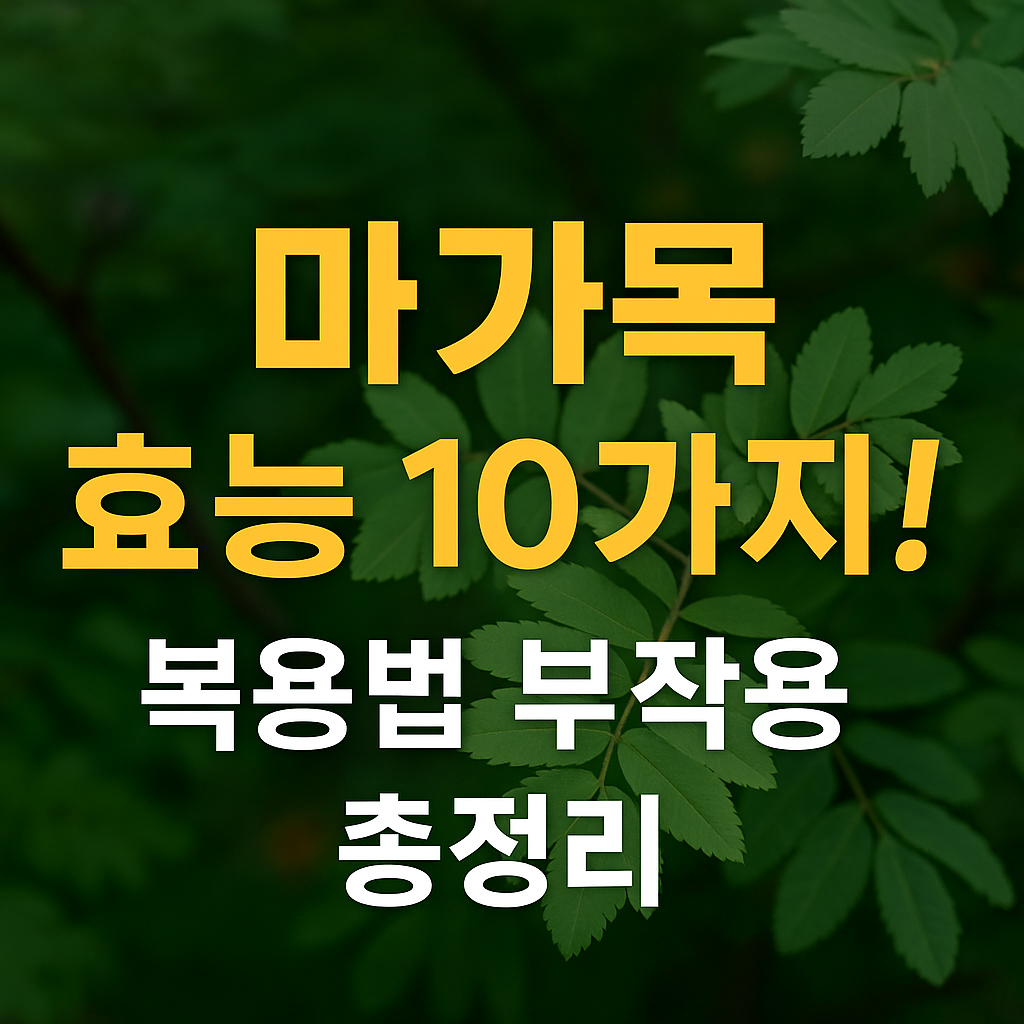 마가목 효능 10