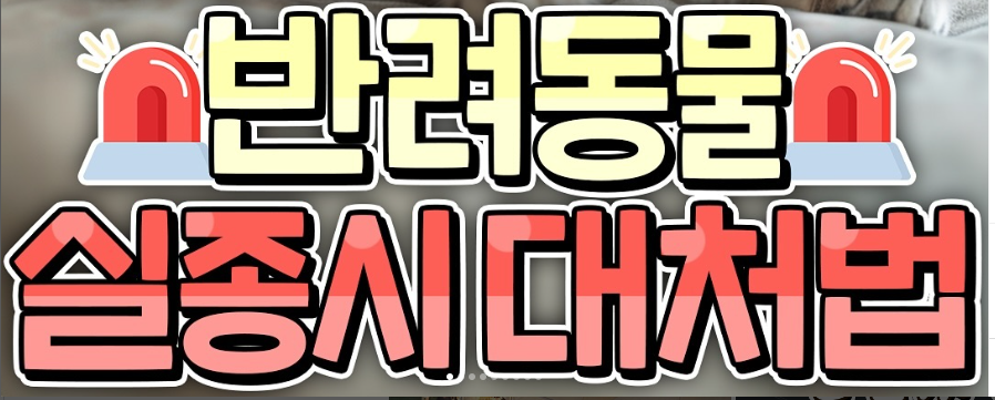 반려동물 실종시 대처방법