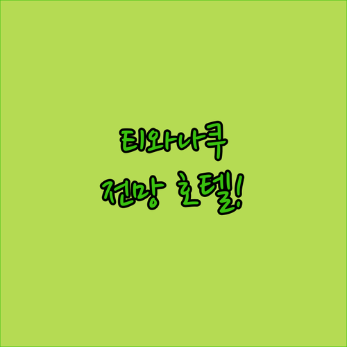티와나쿠 유적지 도보권 및 라파스 시..