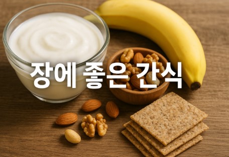 장 트러블을 잠재우는 간식 모음 (유산균, 저자극, 식이섬유)