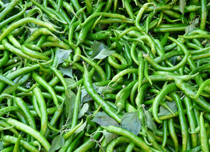 청양고추 관련 사진