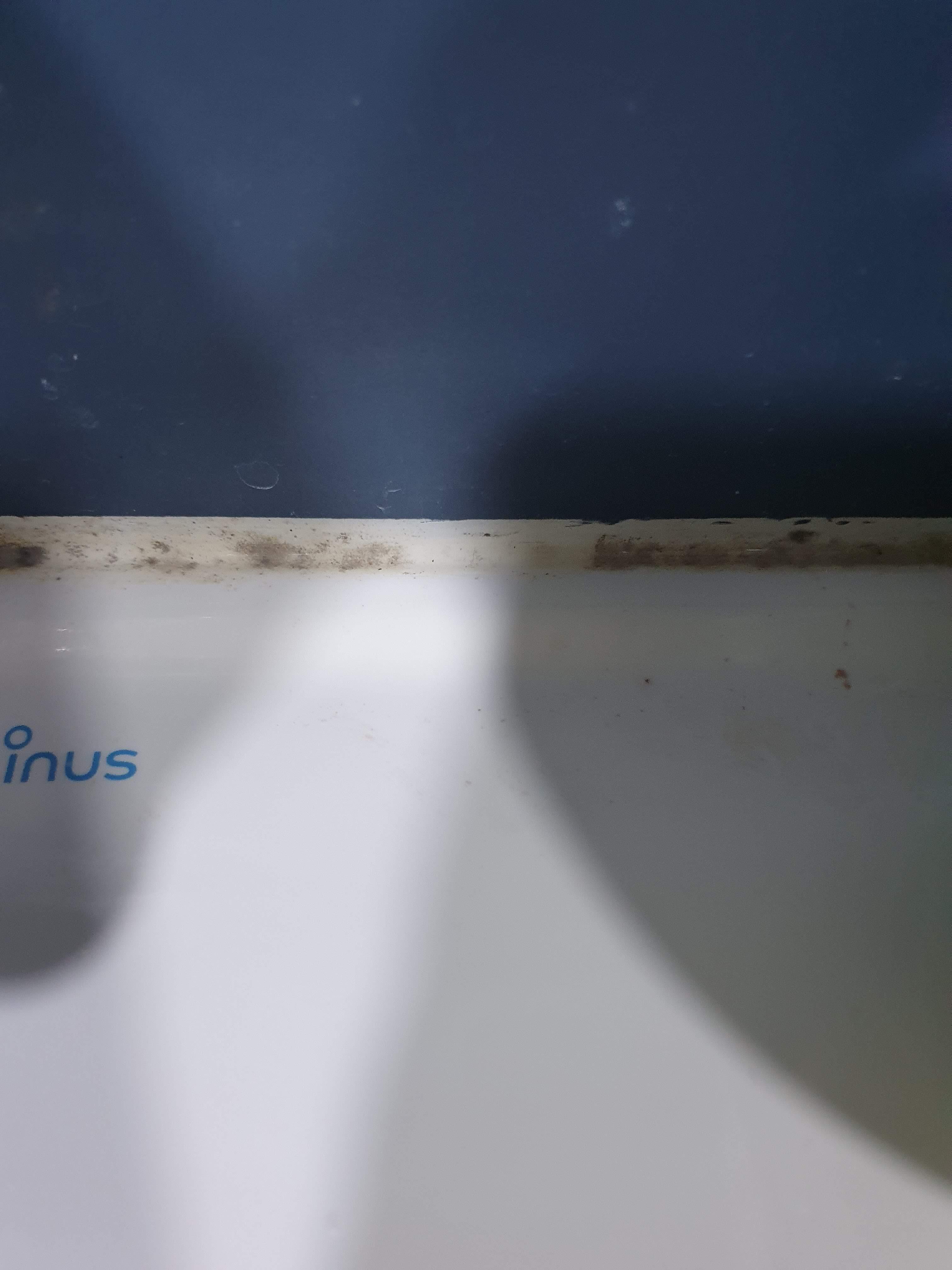 프리한19풋샴푸