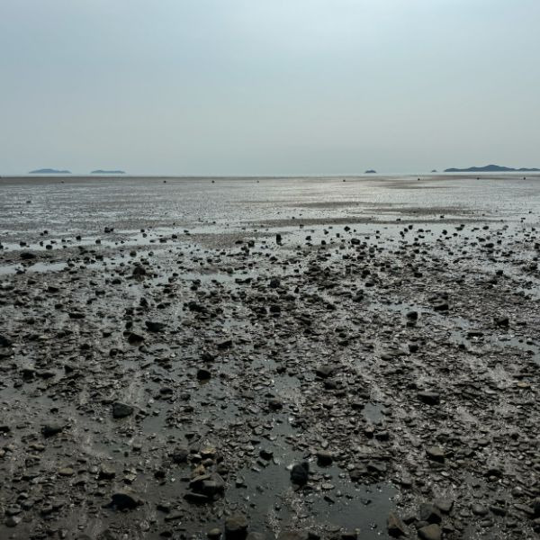 민머루해수욕장