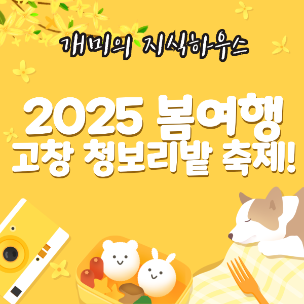 2025고창 청보리밭축제