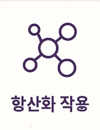 푸룬 효능