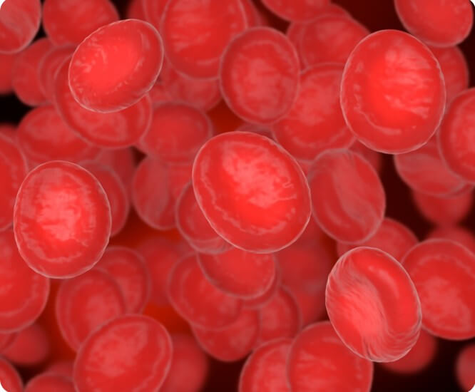 혈관 속 혈액의 농도