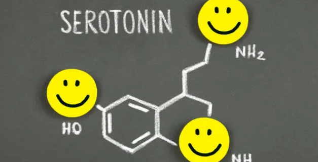 세로토닌 관련사진