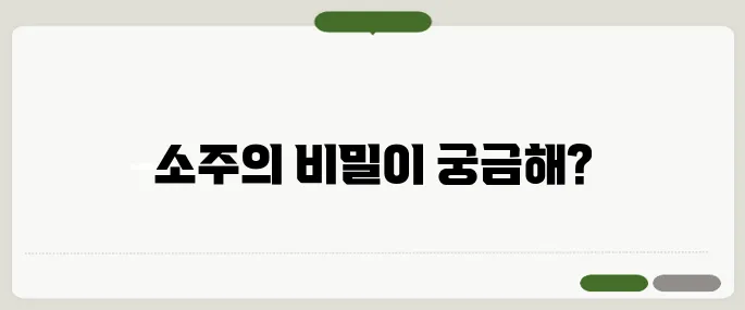 소주 한병은 몇ml? 알코올 도수 계산까지