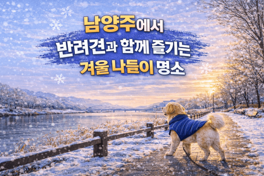남양주 반려견 겨울 나들이 명소, 강아지와 함께 산책하기 좋은 곳 추천
