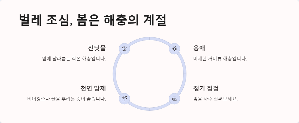 다육이 봄 관리 특별히 주의할 점