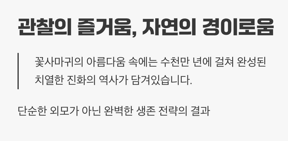 관찰의 즐거움&amp;#44; 자연의 경이로움