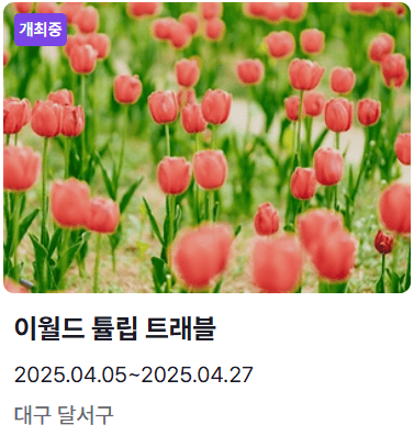 이월드튤립트래블