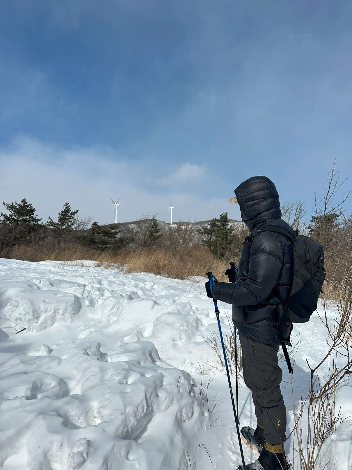 산자령 가는길 눈속에서