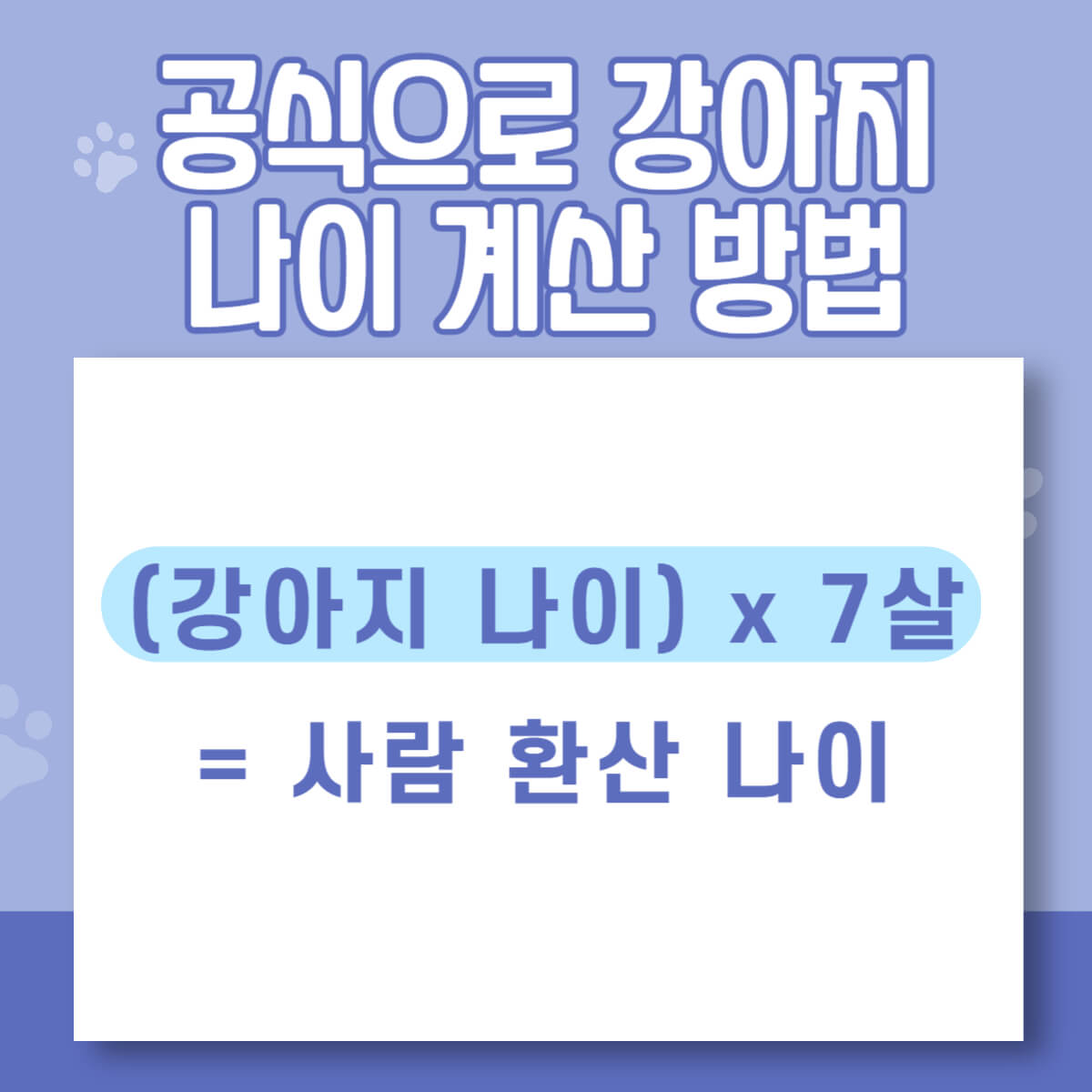 강아지 반려견 나이 사람 나이로 계산하는 방법