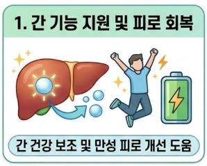 알부민 복용시간