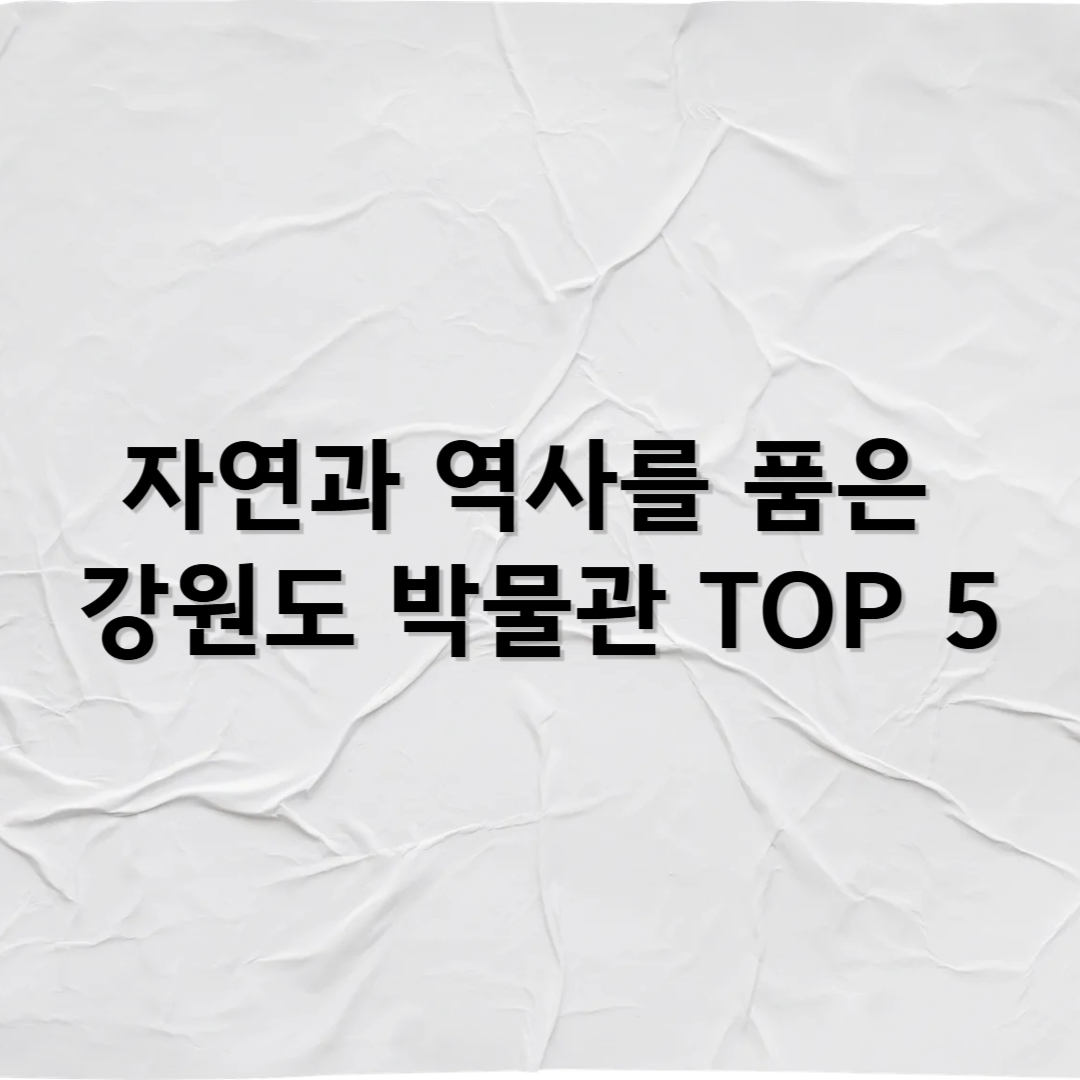 자연과 역사를 품은 강원도 박물관 추천 TOP 5