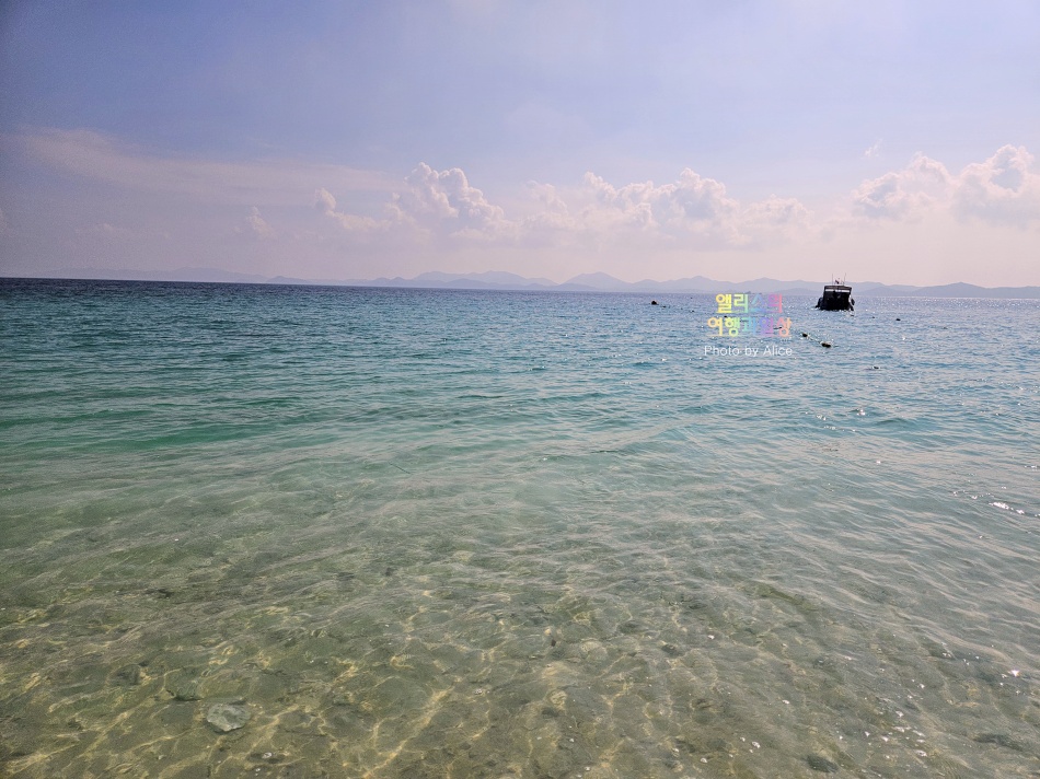 푸켓 스노클링, 피피섬 마야섬 몽키 비치 카이섬 투어 리뷰 코스 가격