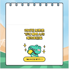 라비킷 보르르 가격 혜택 A/S 체크포인트