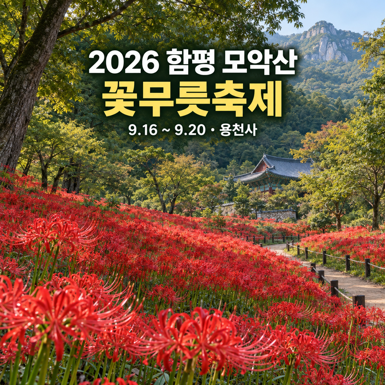 2026 함평 모악산 꽃무릇축제｜용천사 붉은 꽃길 일정&middot;주차&middot;프로그램 총정리