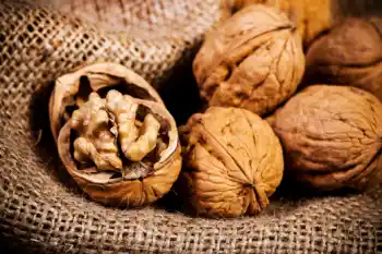 호두 효능 및 영양성분&amp;#44; 주의점