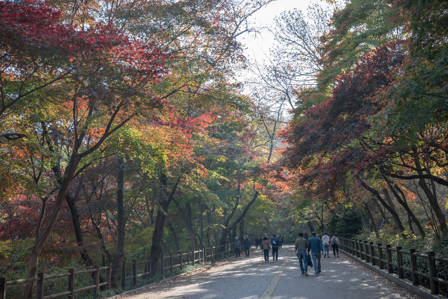 서울단풍명소 남산둘레길