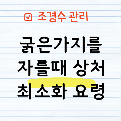 굵은가지 전정요령