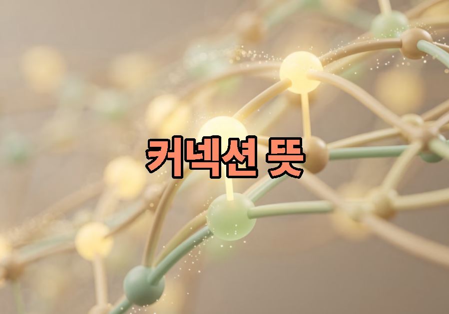 커넥션 뜻