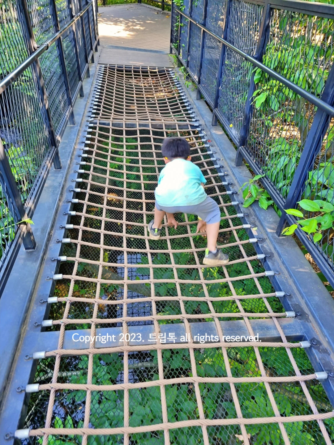 바닥이 밧줄로 되어서 아이가 조심히 건넌다