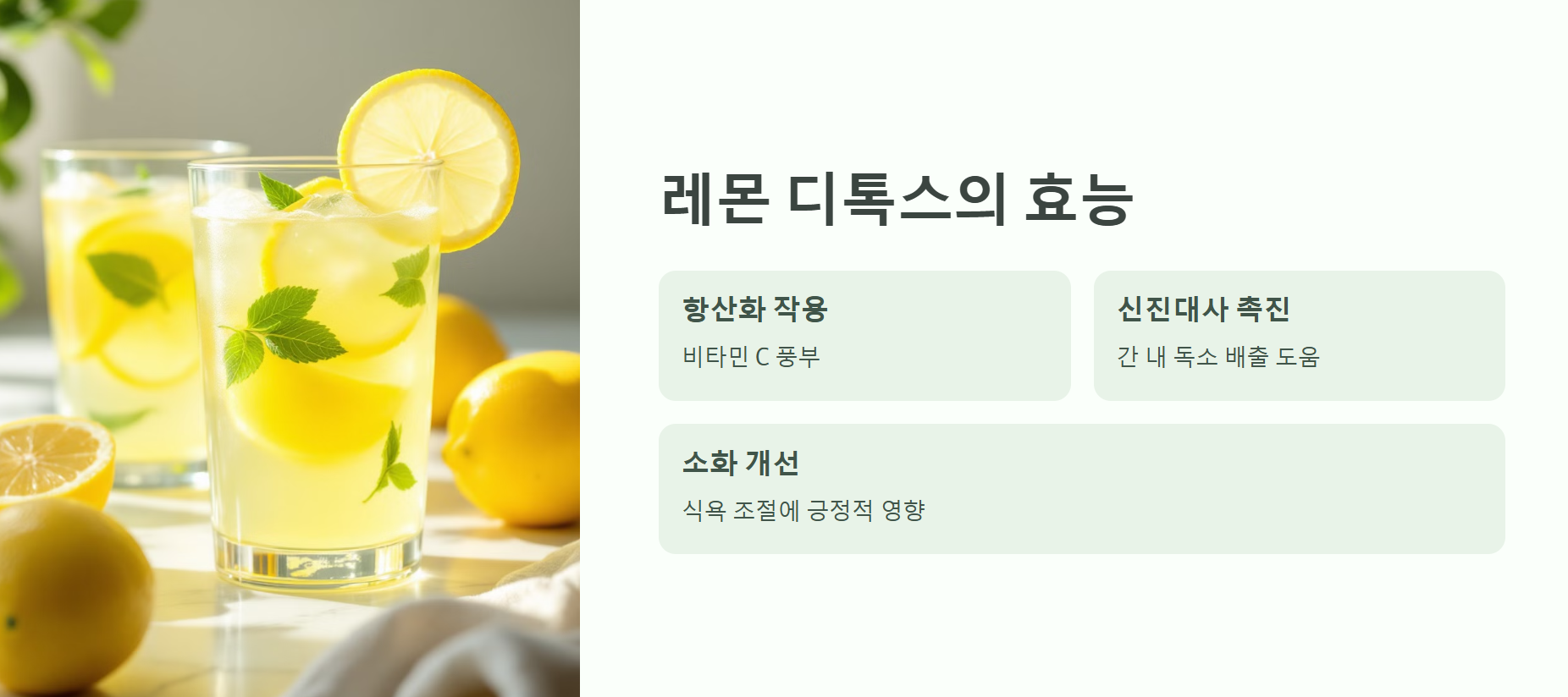 메인 성분 - 레몬 디톡스