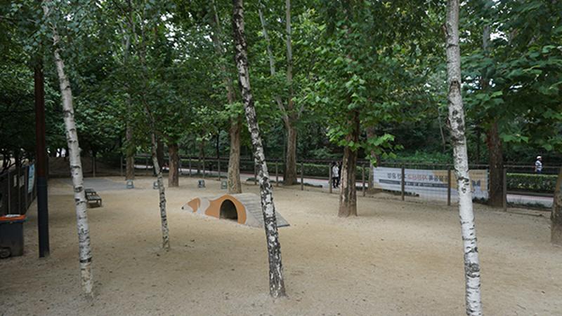 보라매공원 반려견 놀이터