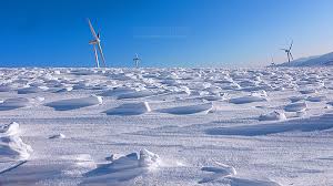 대관령 삼양목장의 아름다움: 한국의 숨겨진 고산 낙원