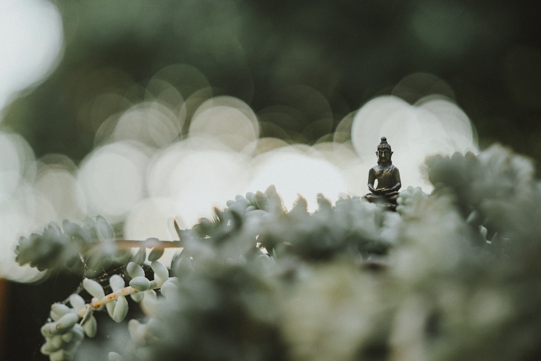 Buddha