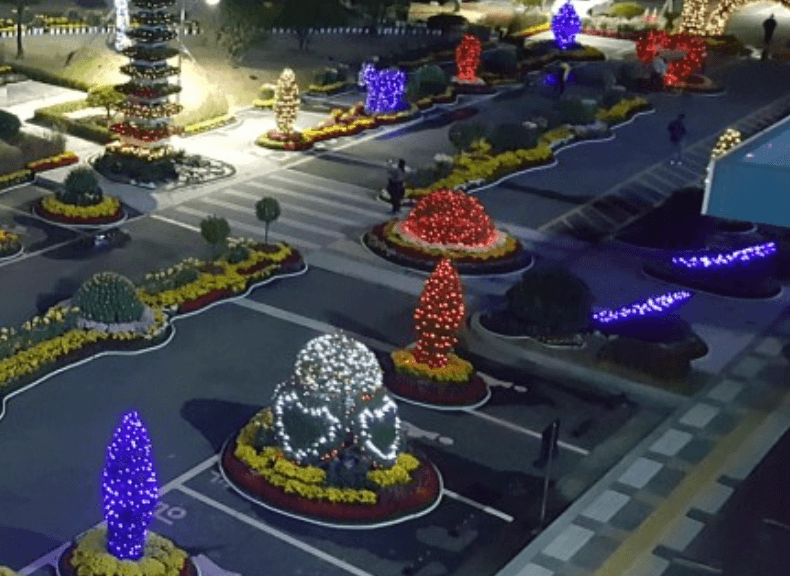 양산 국화축제 기간