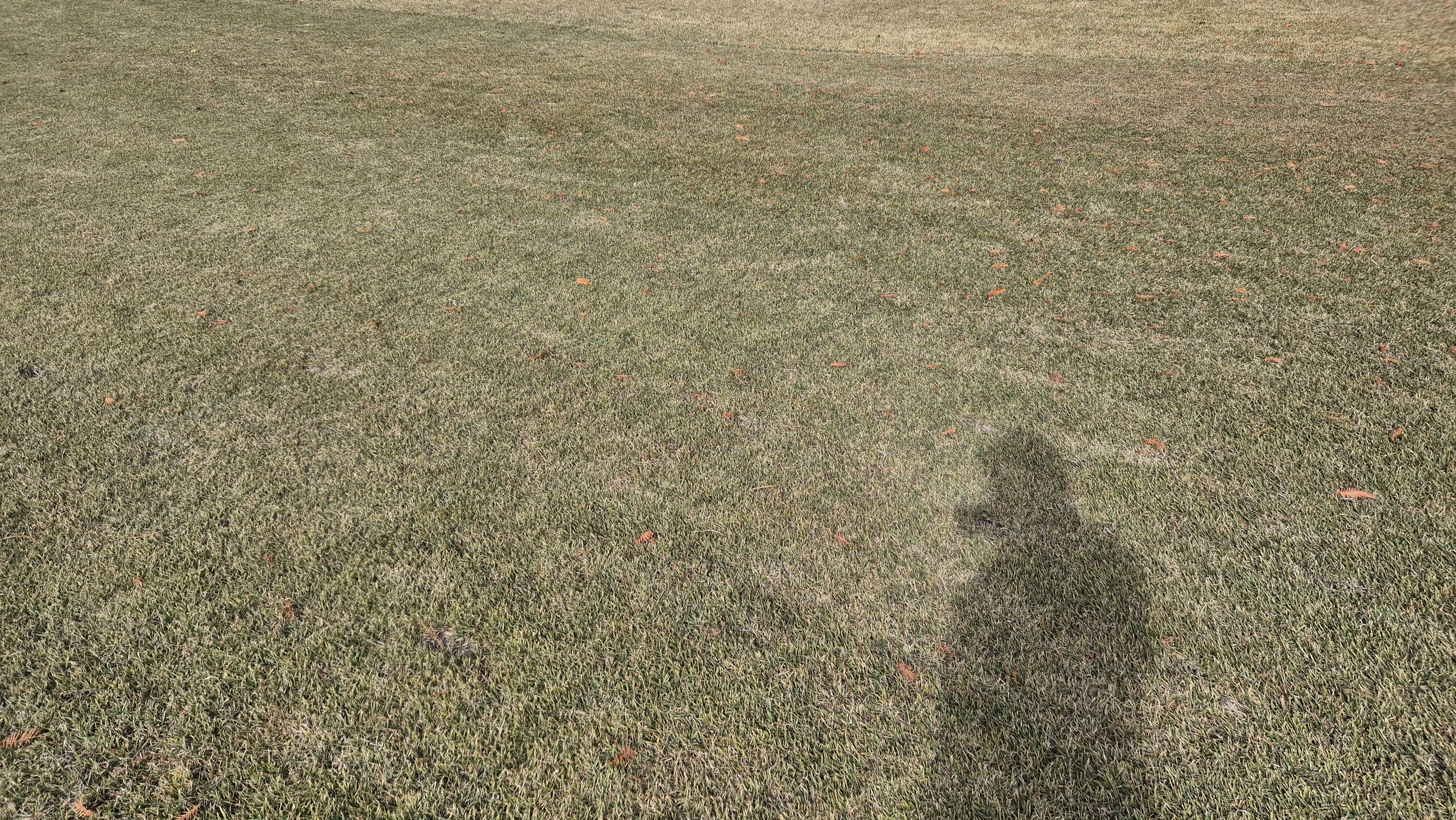 세종에머슨cc 밸리-마운틴 코스관리 상태