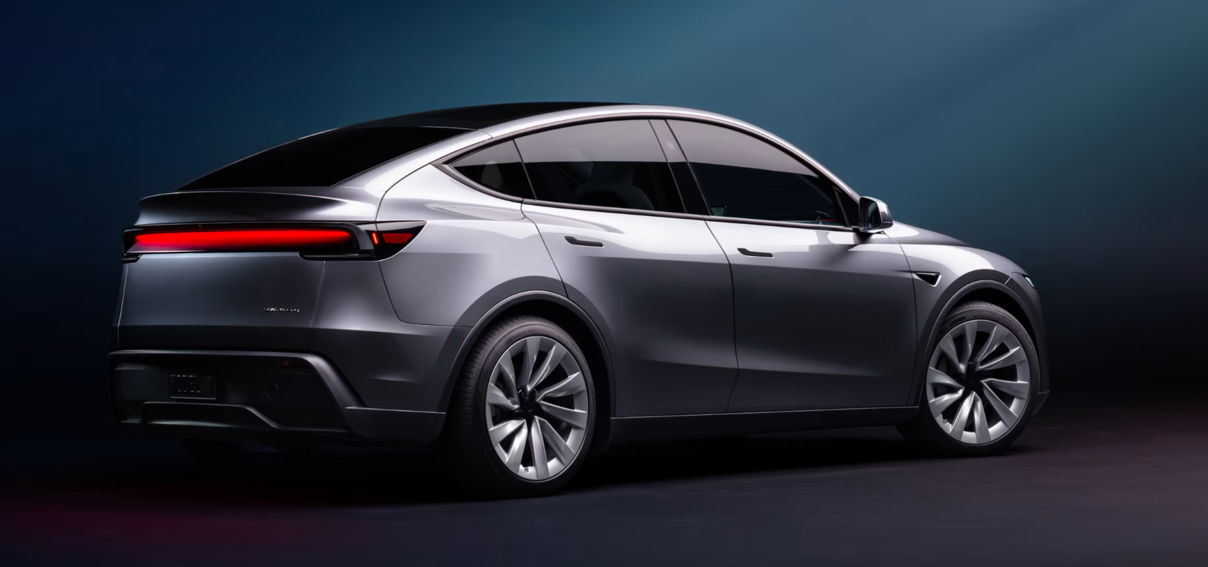 출시 배경과 시장의 반응은? 🌍