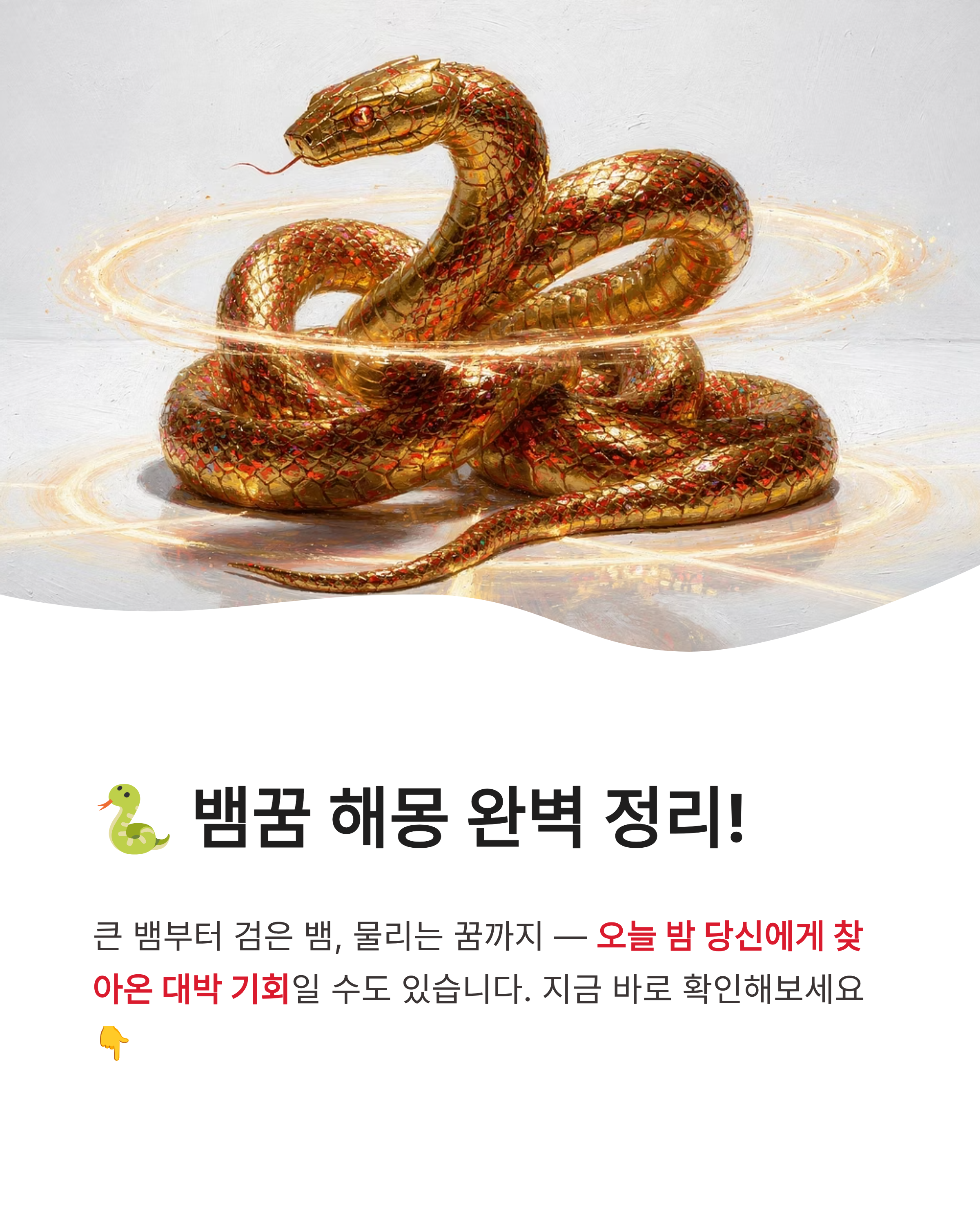 뱀꿈 해몽 큰 뱀 검은 뱀 물리는 꿈까지 상황별 완벽 정리! 오늘 밤 당신에게 찾아온 대박 기회?