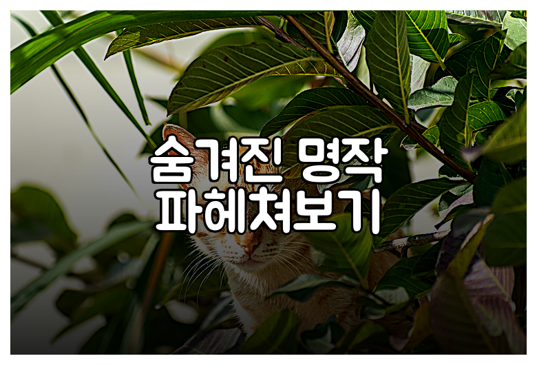 숨겨진 명작 파헤쳐보기