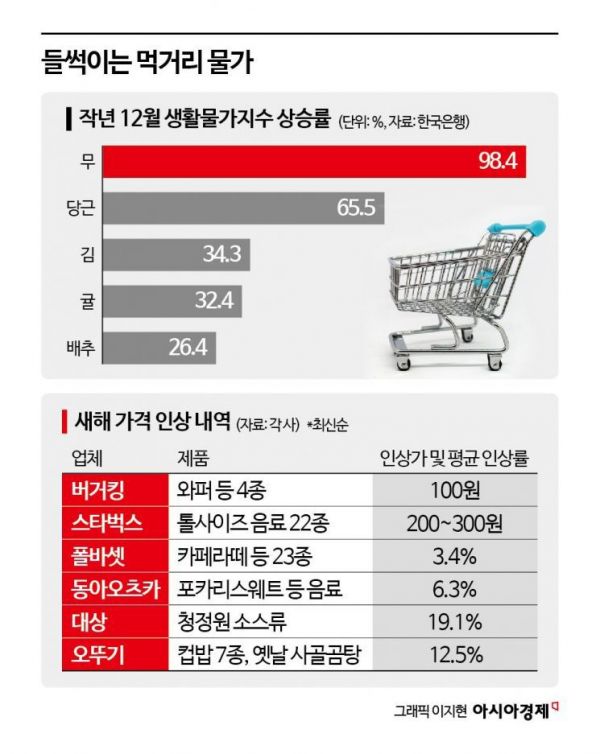 2025년 가격 인상 내역