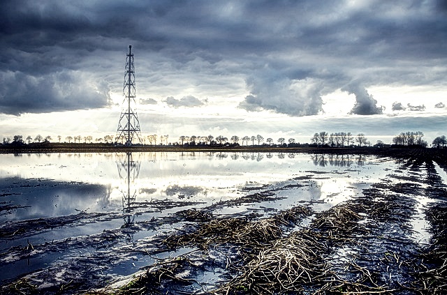 서울도시가스 요금 조회