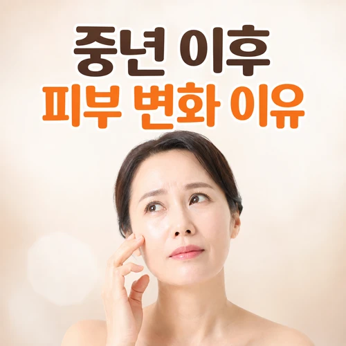 중년 이후 피부 변화 이유