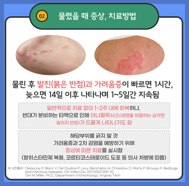 빈대 물리면 증상, 자국