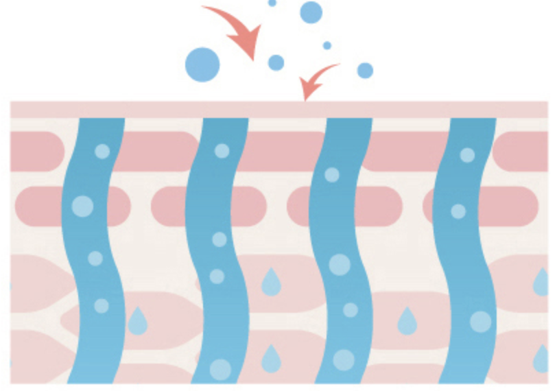 자작나무-수분-썬크림-효과