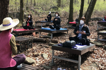 유명산 자연휴양림 체험 프로그램 산림 치유