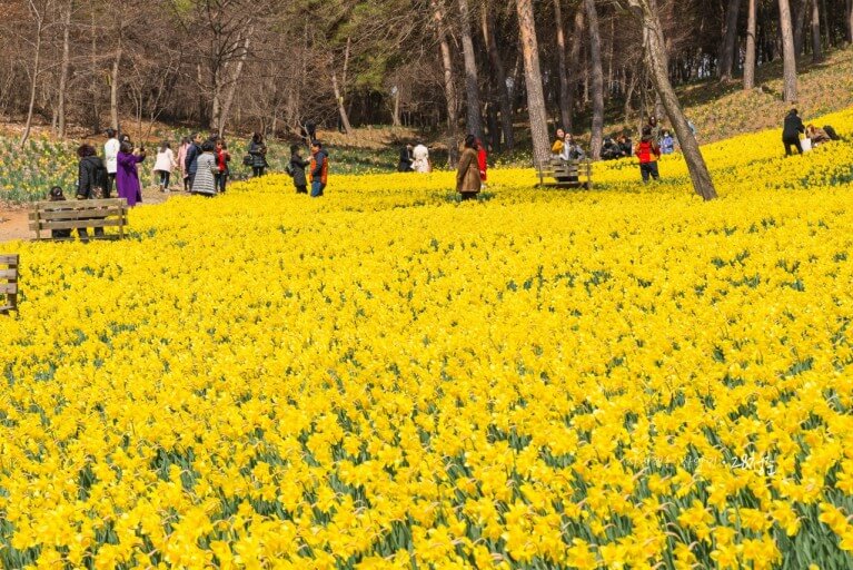 서산유기방가옥사진