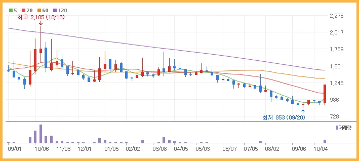 솔트웨어-주봉차트